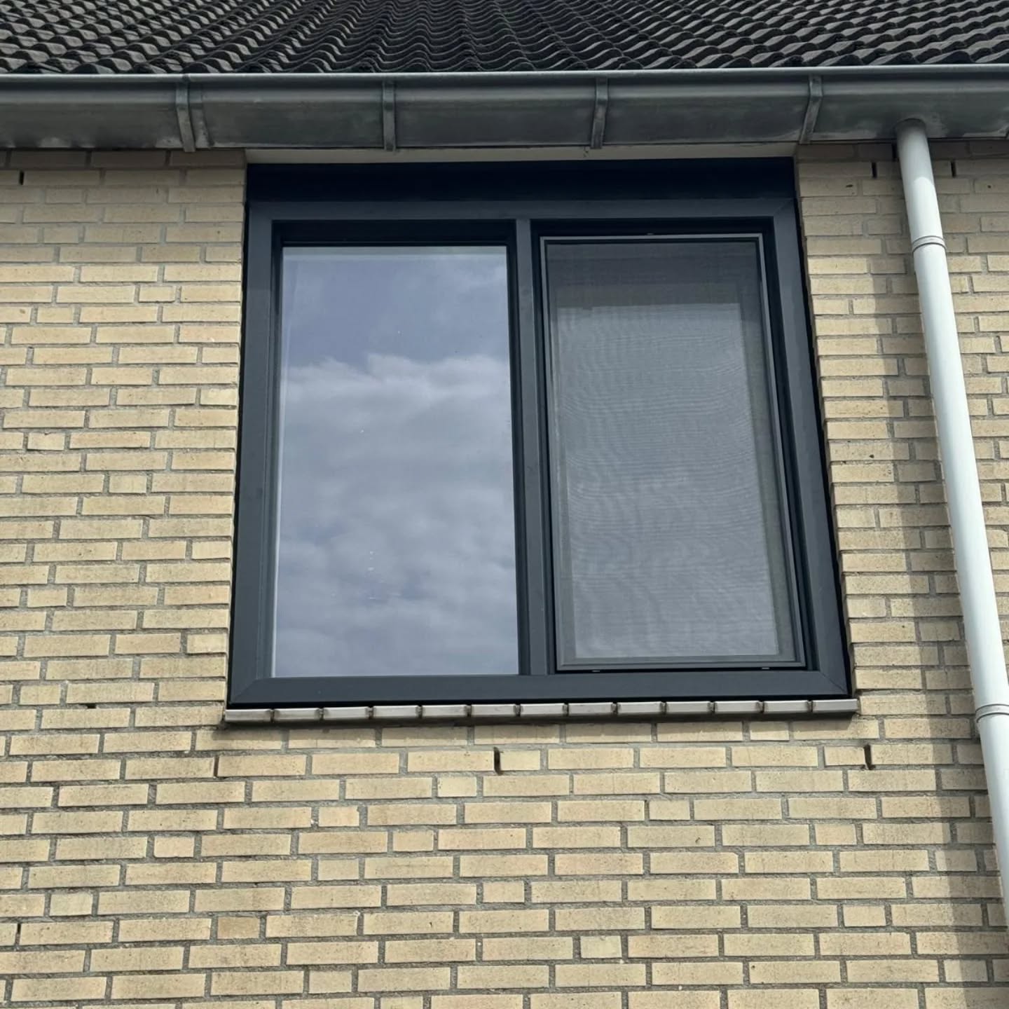 Project Flevopolder - afbeelding 8