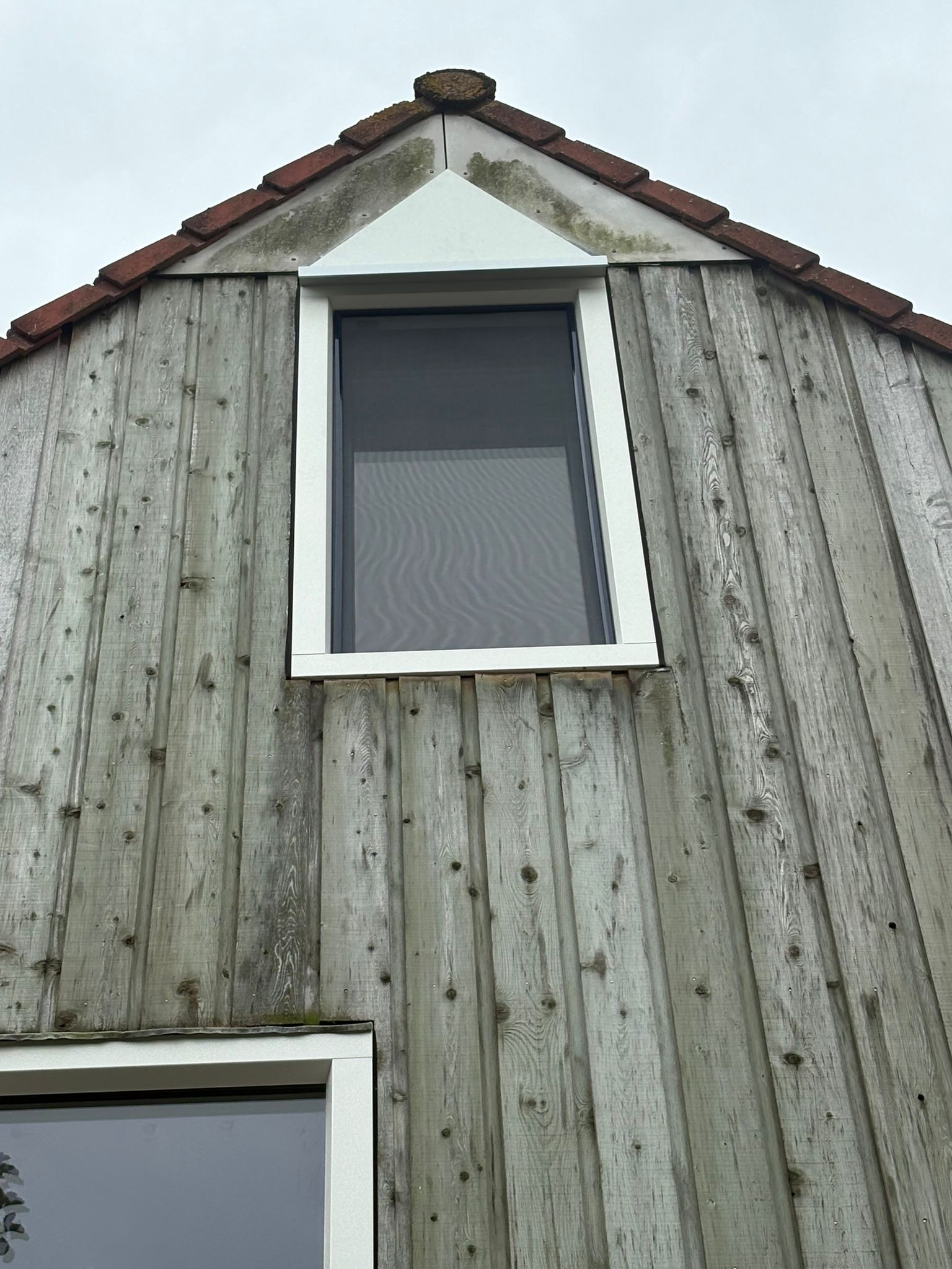 Project Zeewolde - afbeelding 3