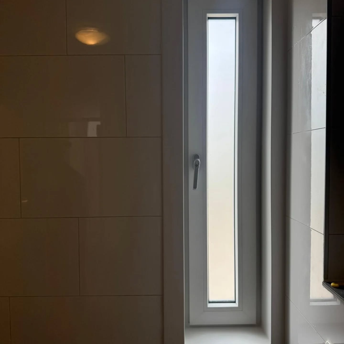 Project Flevopolder - afbeelding 6