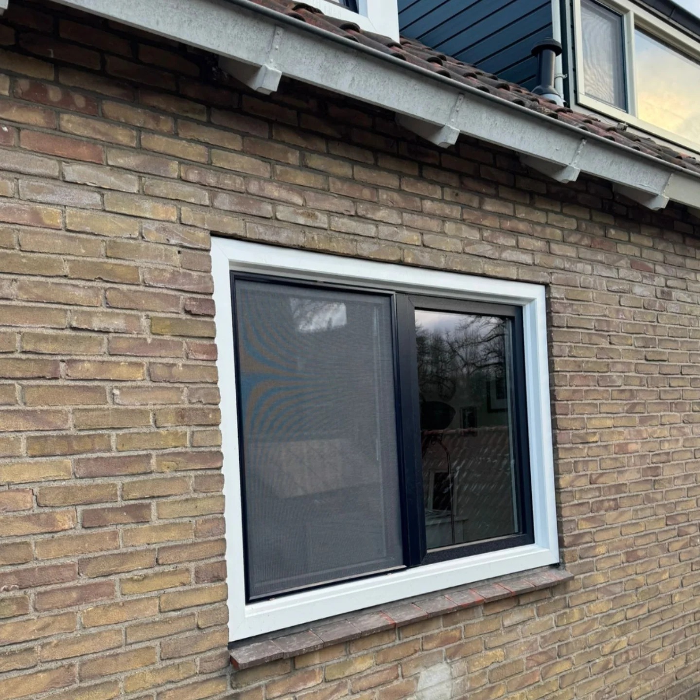 Project Dieren - afbeelding 4